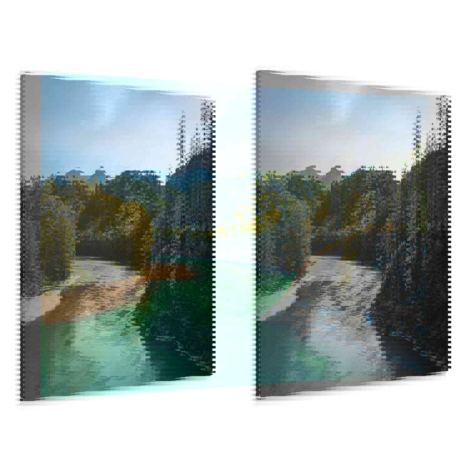 River Through Pine Tree Green Forest Nature Wilderness Photography Canvas Wall Art for Home Decor