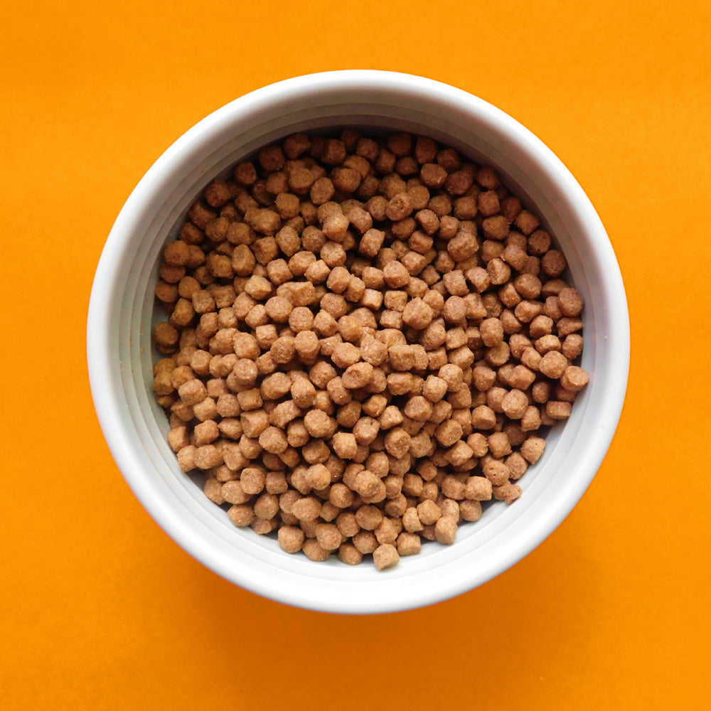 Fromm Gold Healthy Weight Dry Cat Food for Adult Cats