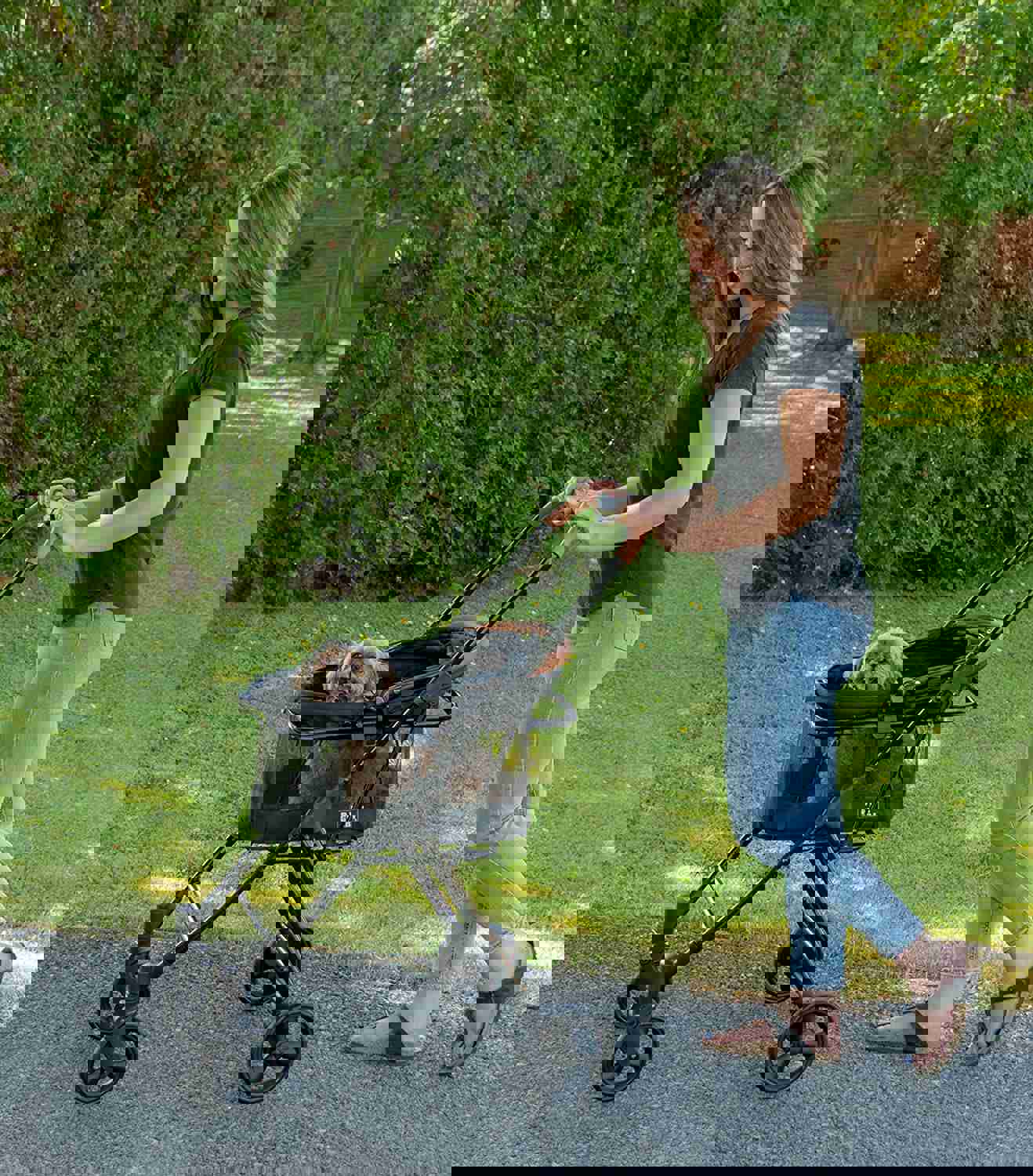 View 360 Stroller Travel System By Pet Gear - 3-in-1 Convertible Pet Carrier, Booster & Stroller