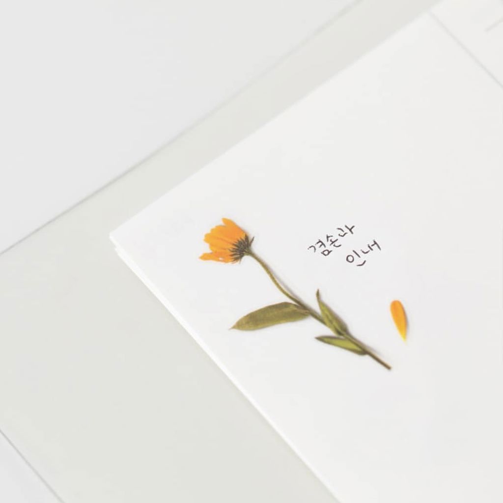 Appree Pressed Flower Stickers - Calendula