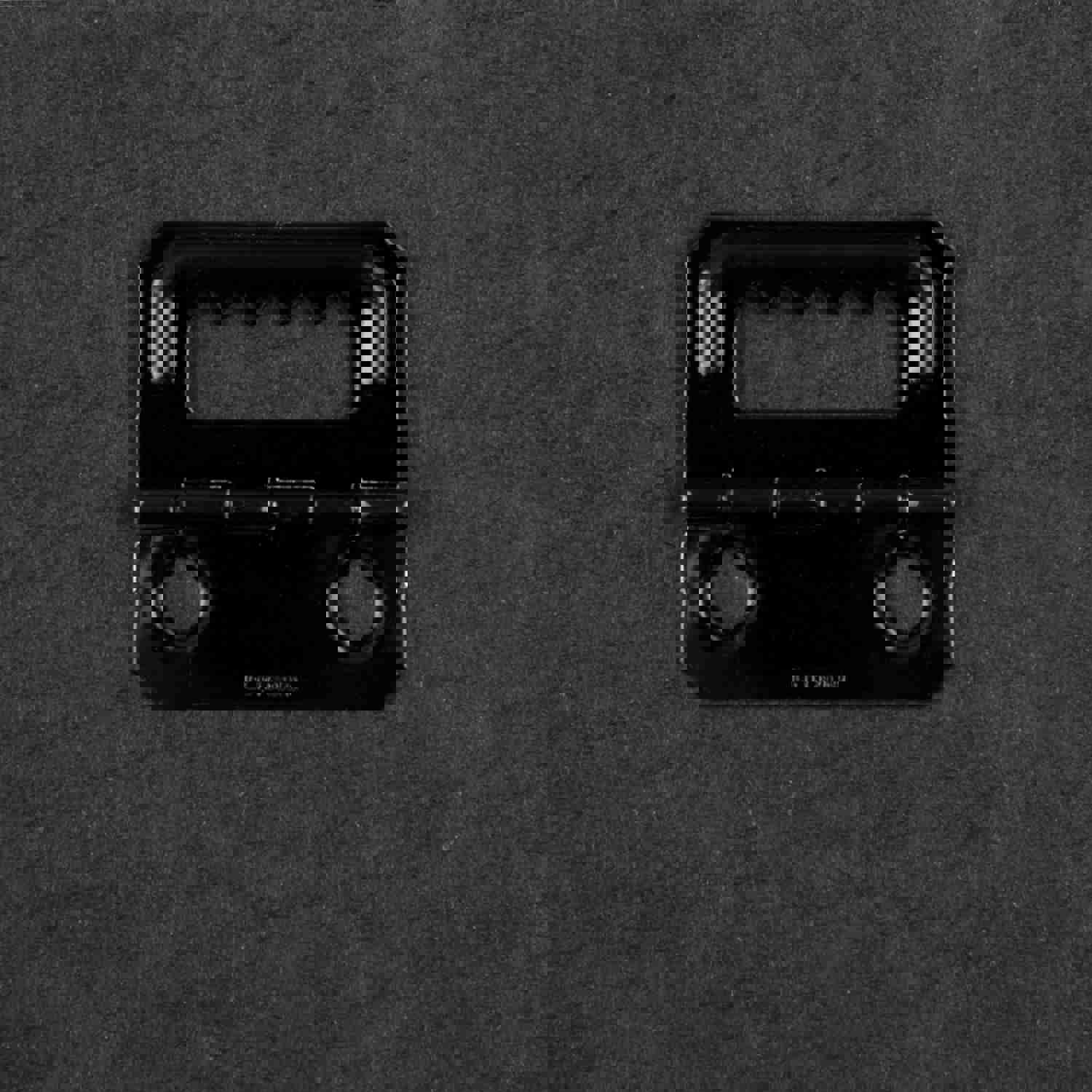 Fern Forest Floral Nature Photography Canvas Wall Art - Ready-to-Hang Home Decor