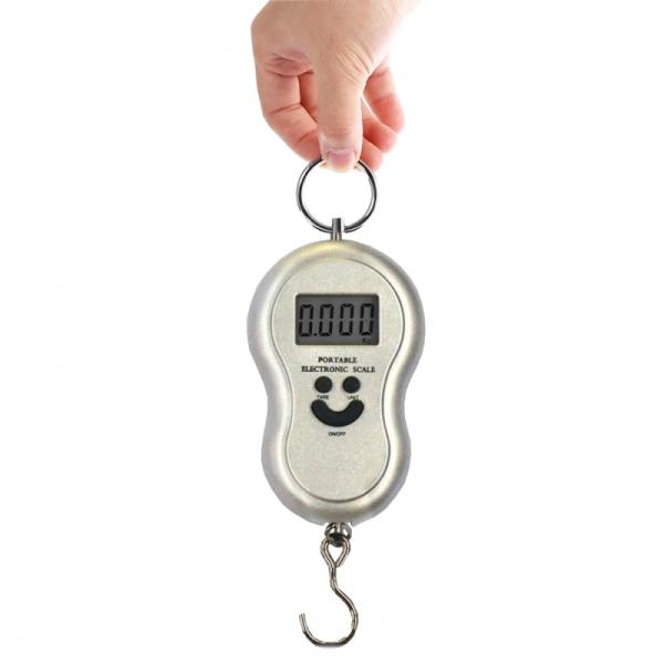 50kg/10g Portable Electronic Scale with Hook for Fishing and Household Use - Silver