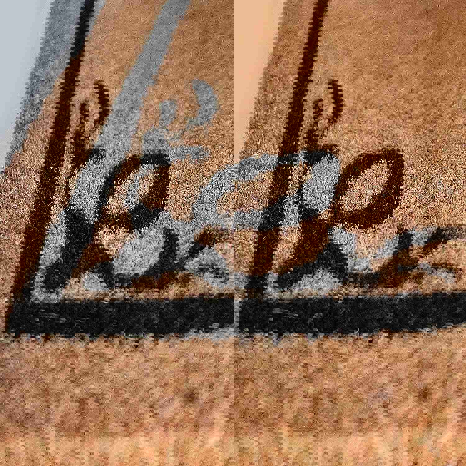 LuxUrux Welcome Mats Outdoor Coco Coir Doormat with Heavy-Duty PVC Backing - Natural - 30 x 17