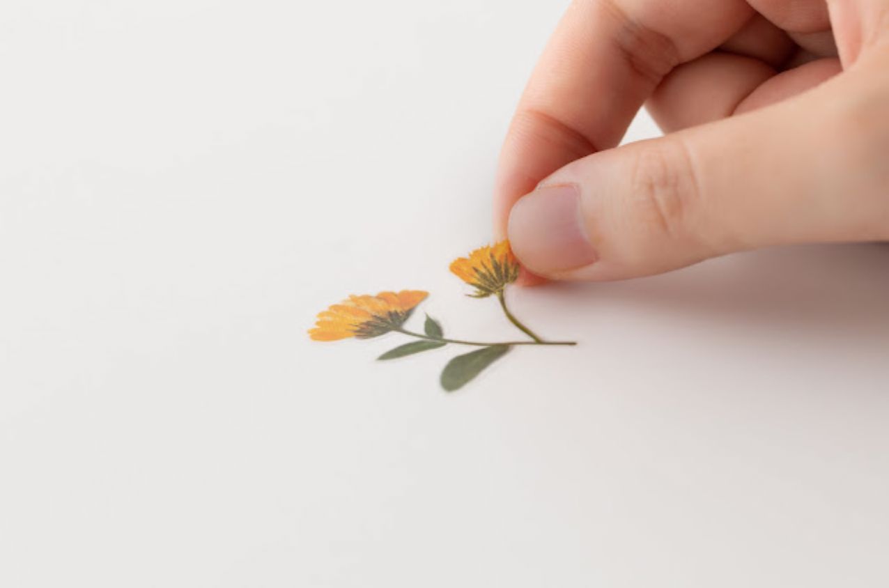 Appree Pressed Flower Stickers - Calendula