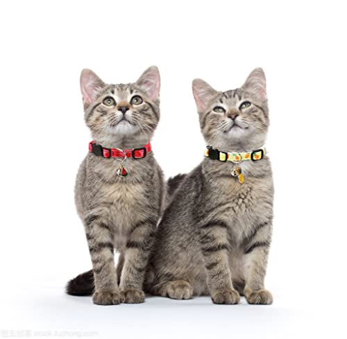 SuperBuddy Cat Collars Breakaway with Bell - 4 Pack Adjustable Safety Collars for Cats