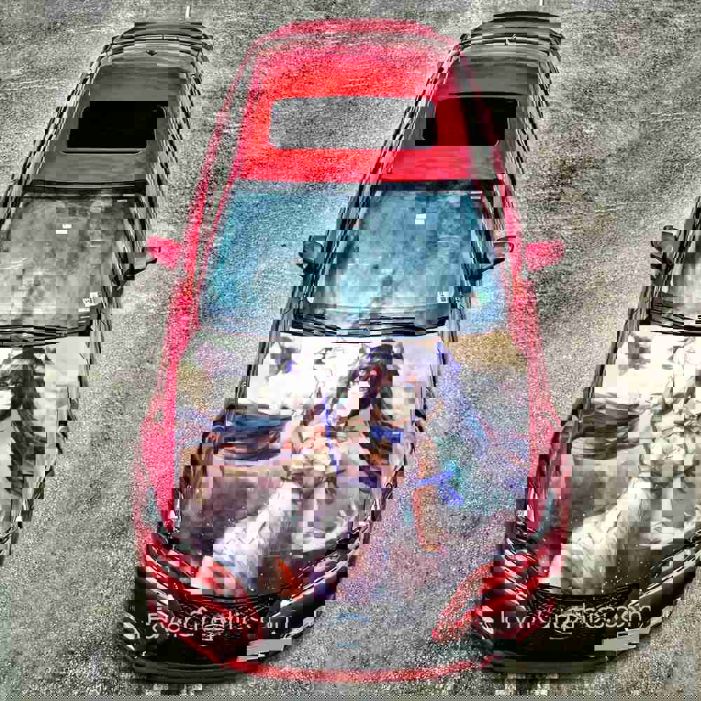 Hestia DanMachi Itasha Car Vinyl Hood Wrap Decal Sticker