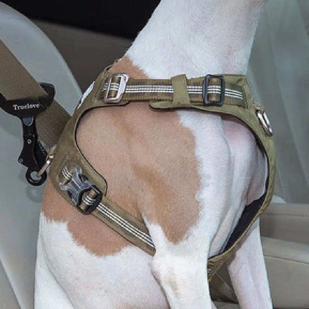 Premium Dog Safety Buckle Leash for Pet Travel & Outdoor