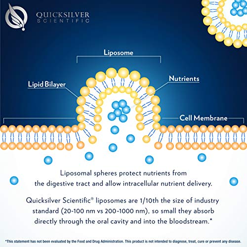 Quicksilver Scientific Liposomal Glutathione - Advanced Antioxidant Liquid Supplement with Nano Technology for Superior Absorption, Soy-Free (1.7oz / 50ml)