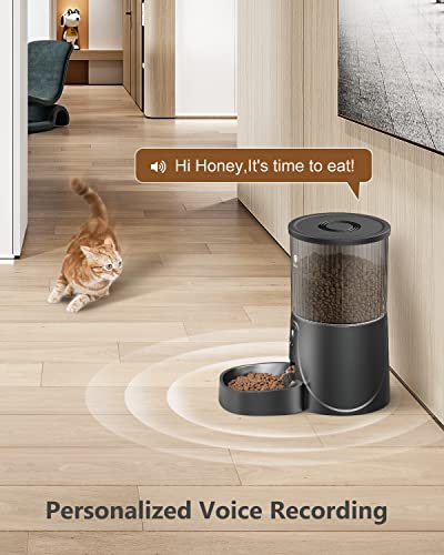 PETULTRA Automatic Cat Feeders, 4L Programmable Pet Dry Food Dispenser with Dual Power Supply