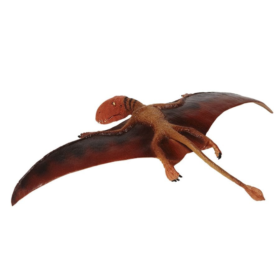 Dimorphodon Toy - Prehistoric Pterosaur Replica