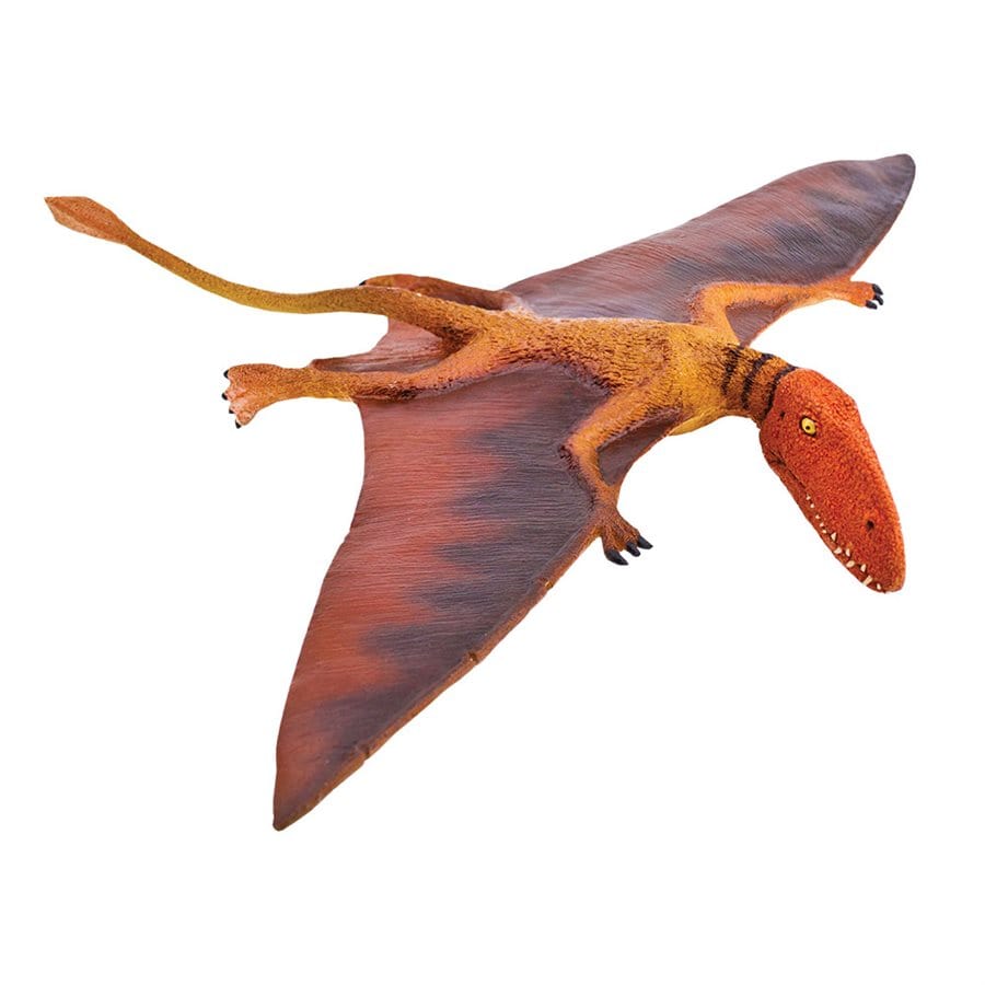 Dimorphodon Toy - Prehistoric Pterosaur Replica