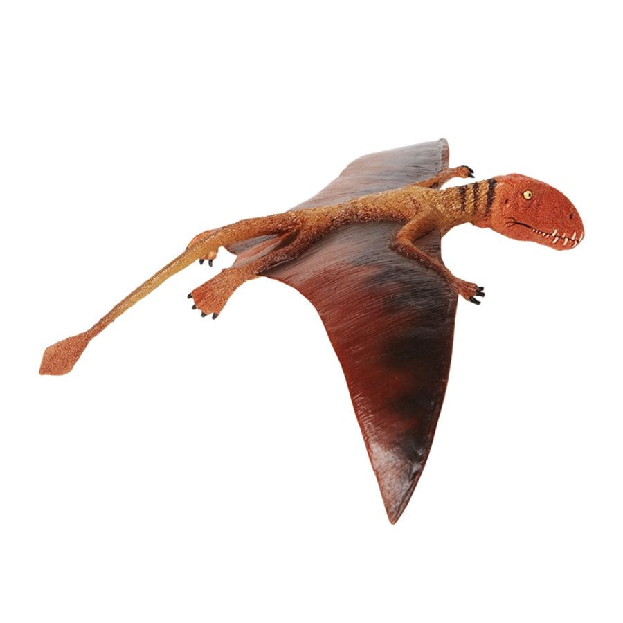 Dimorphodon Toy - Prehistoric Pterosaur Replica