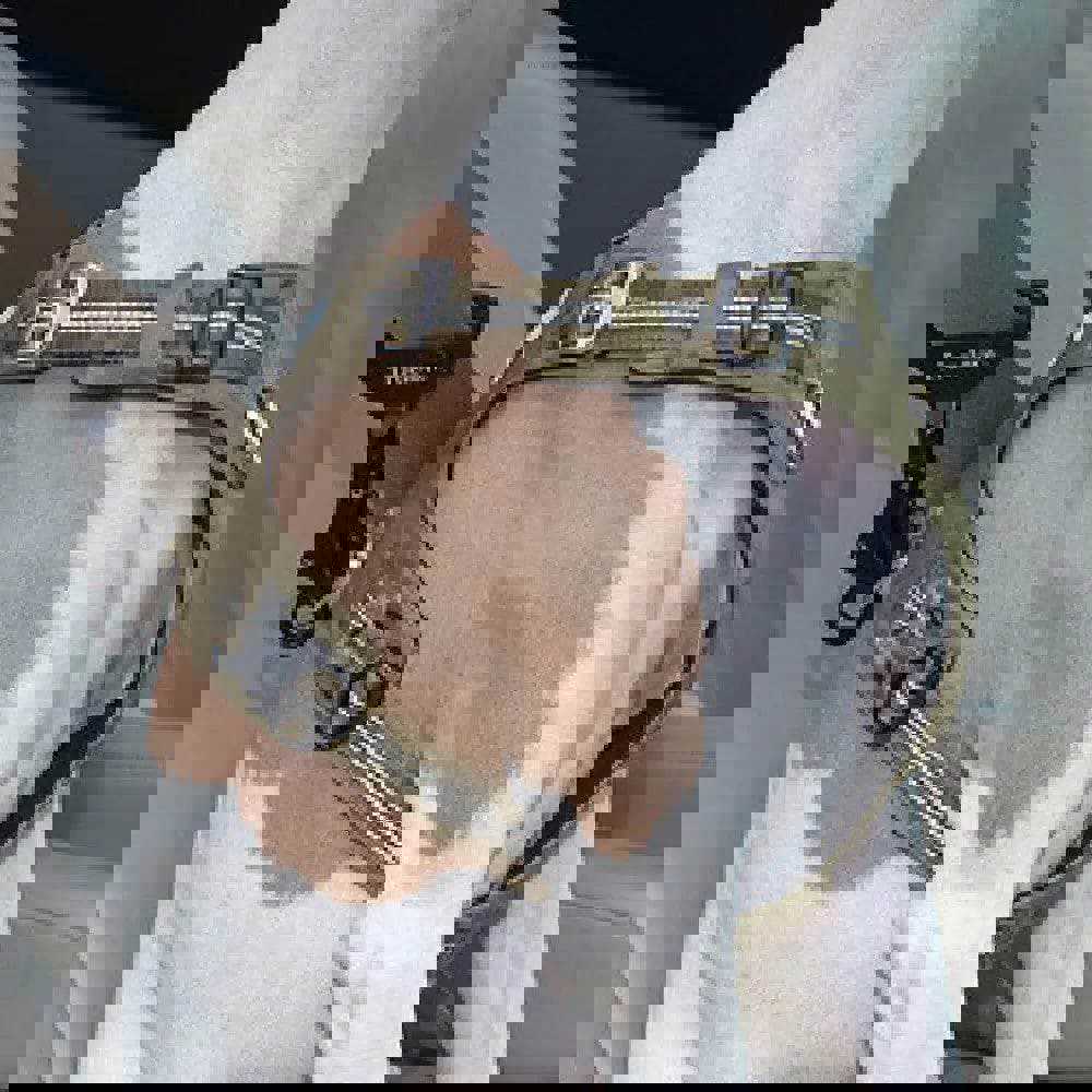 Premium Dog Safety Buckle Leash for Pet Travel & Outdoor