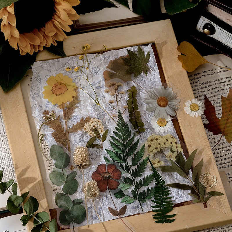 Dried Flowers Clear Stickers Pack