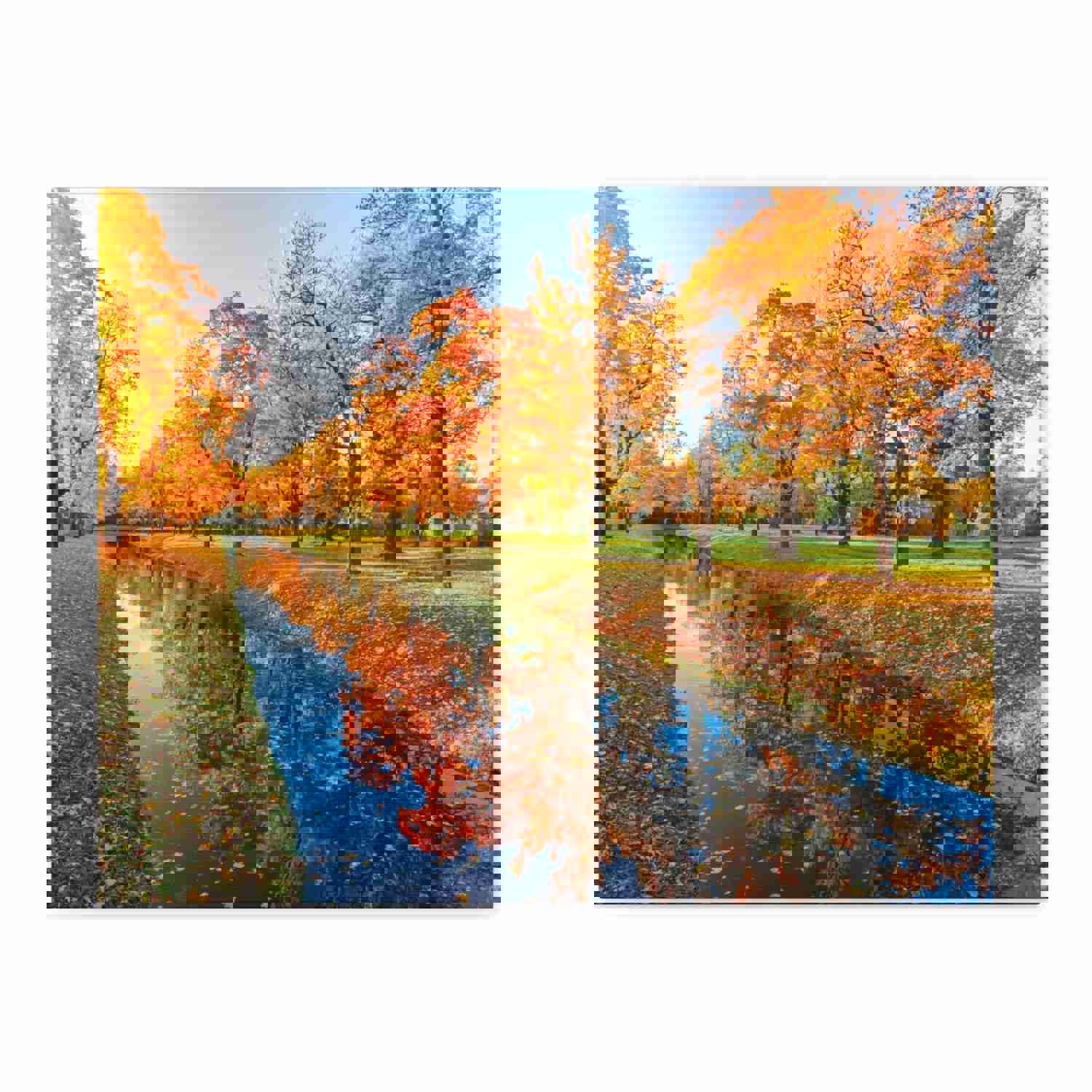 Obvodny Canal in Autumn Forest Floral Nature Photography Canvas Wall Art for Home Decor