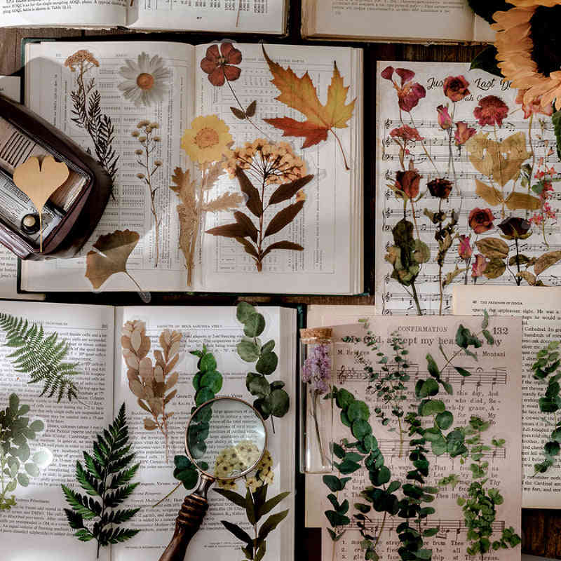 Dried Flowers Clear Stickers Pack