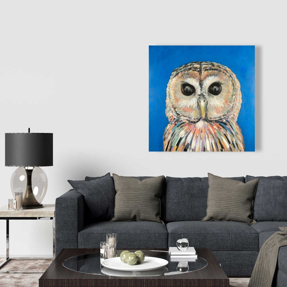 Colorful Spotted Owl Fine Art Gallery Wrapped Canvas 24x36