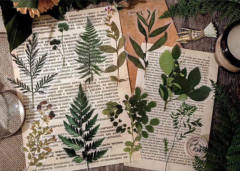 Dried Flowers Clear Stickers Pack