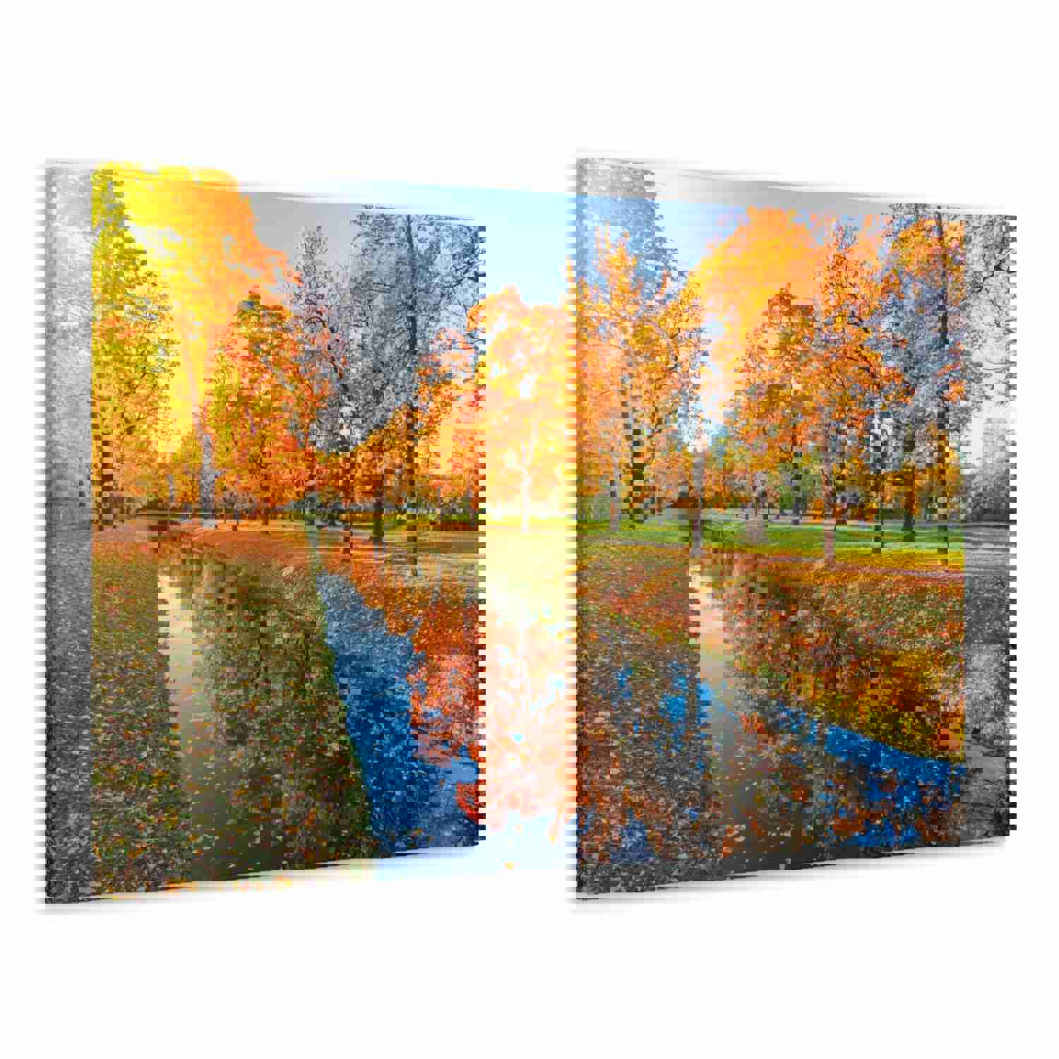 Obvodny Canal in Autumn Forest Floral Nature Photography Canvas Wall Art for Home Decor