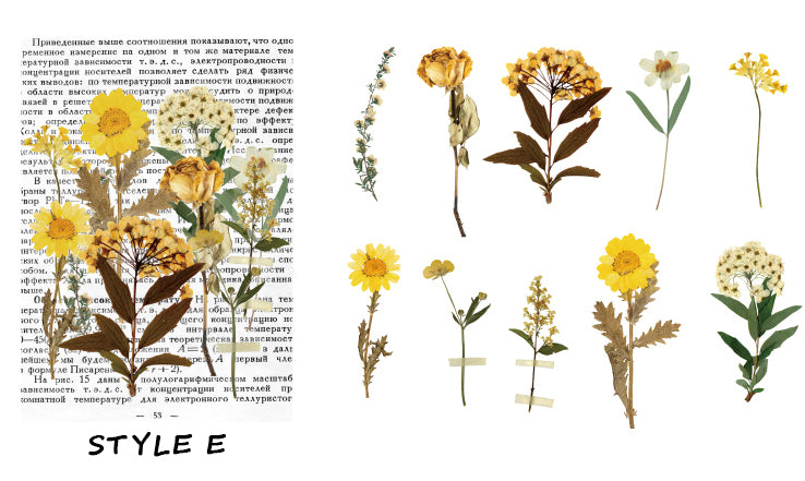 Dried Flowers Clear Stickers Pack