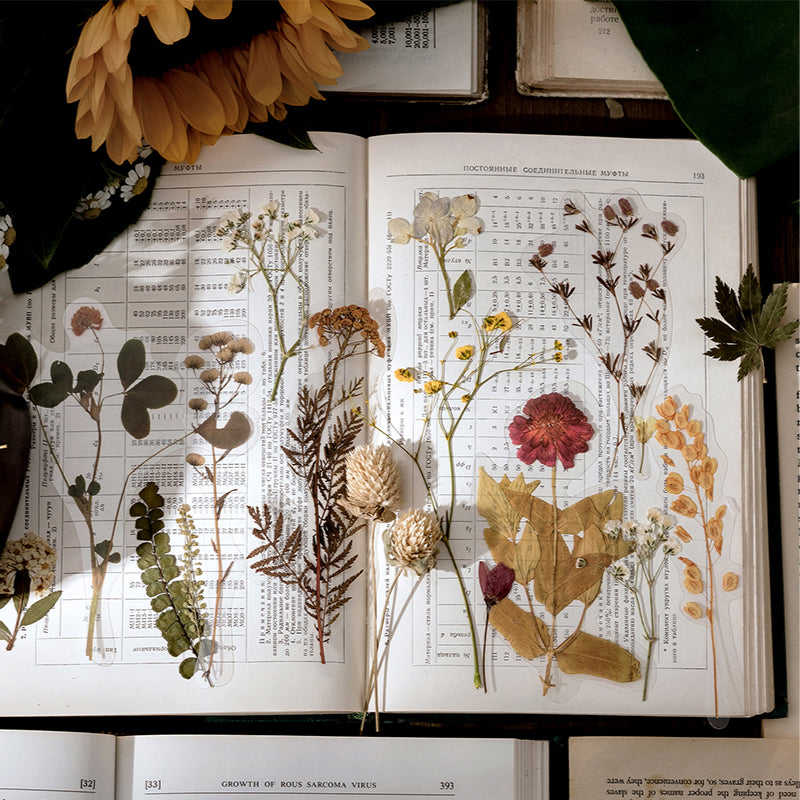 Dried Flowers Clear Stickers Pack