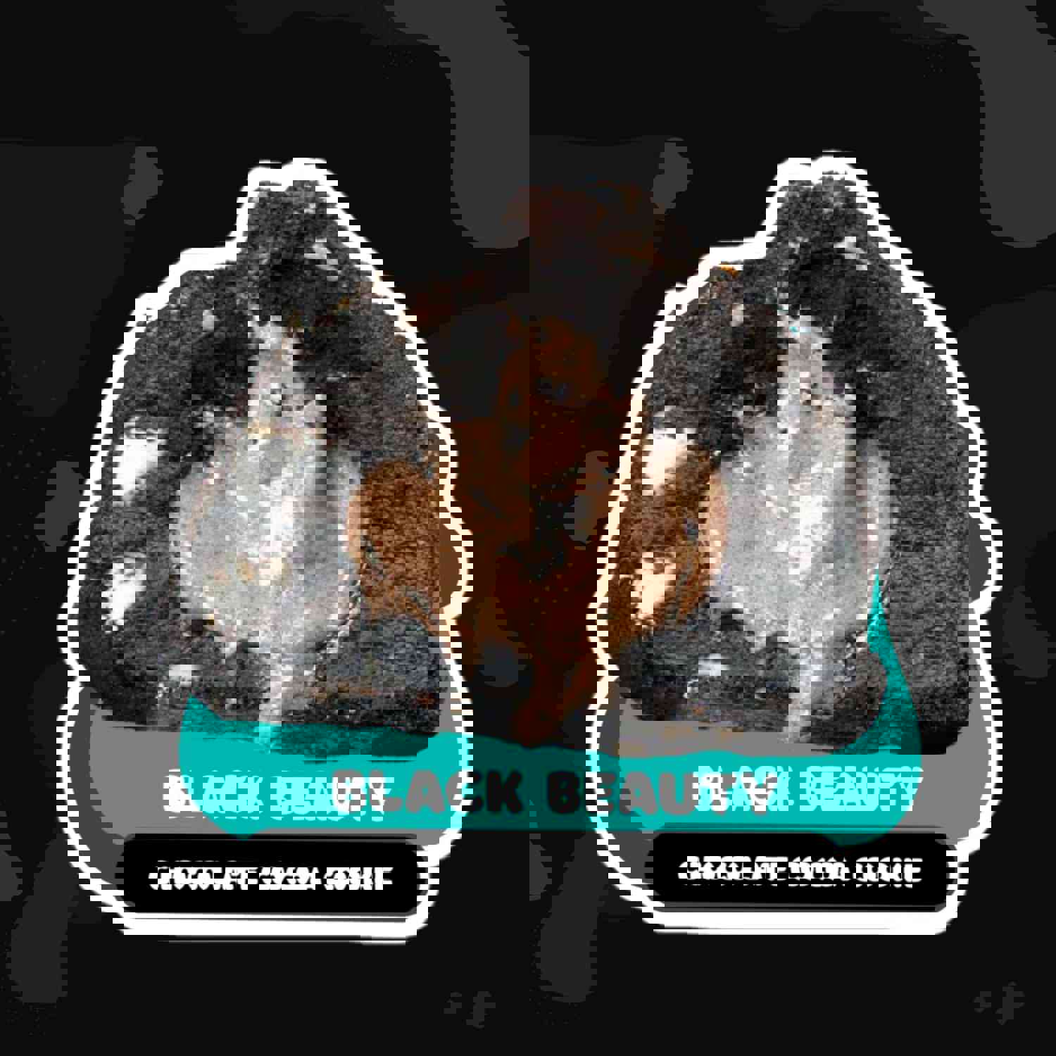 Black Beauty Die-Cut Sticker