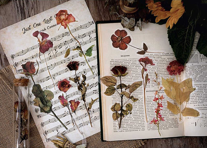 Dried Flowers Clear Stickers Pack