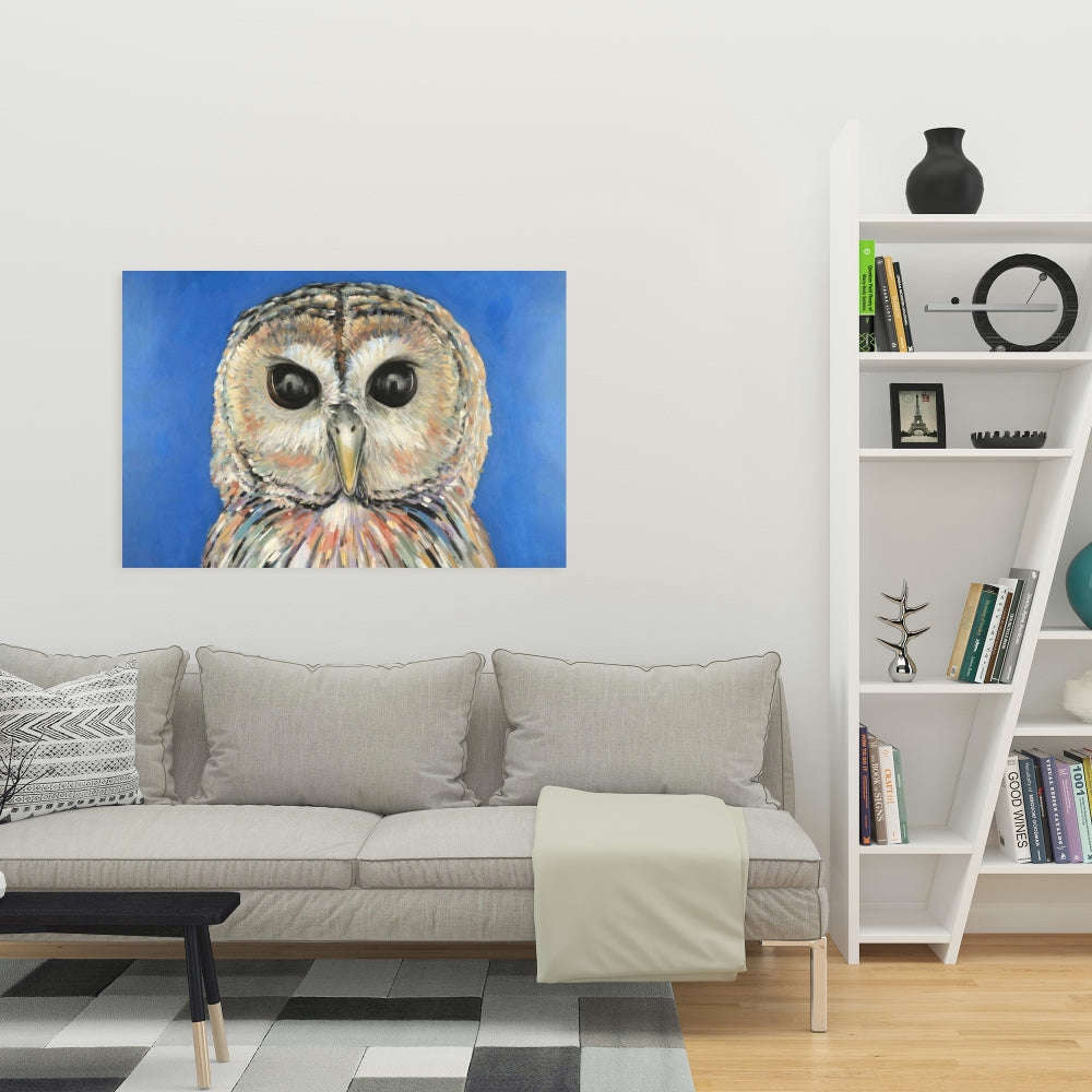 Colorful Spotted Owl Fine Art Gallery Wrapped Canvas 24x36