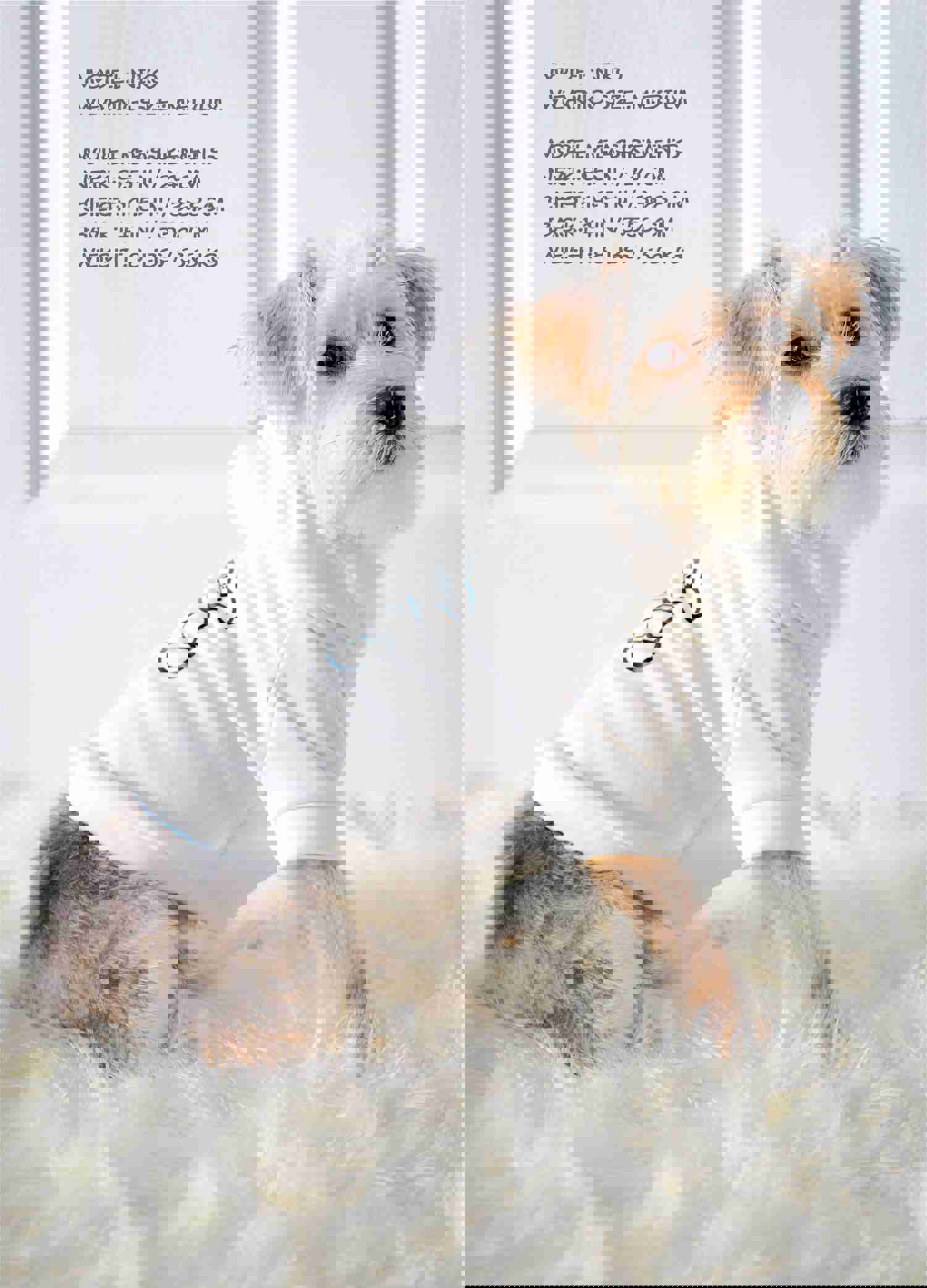 Nice Bear Hoodie - Soft Cotton Pullover for Spring, Autumn, and Winter