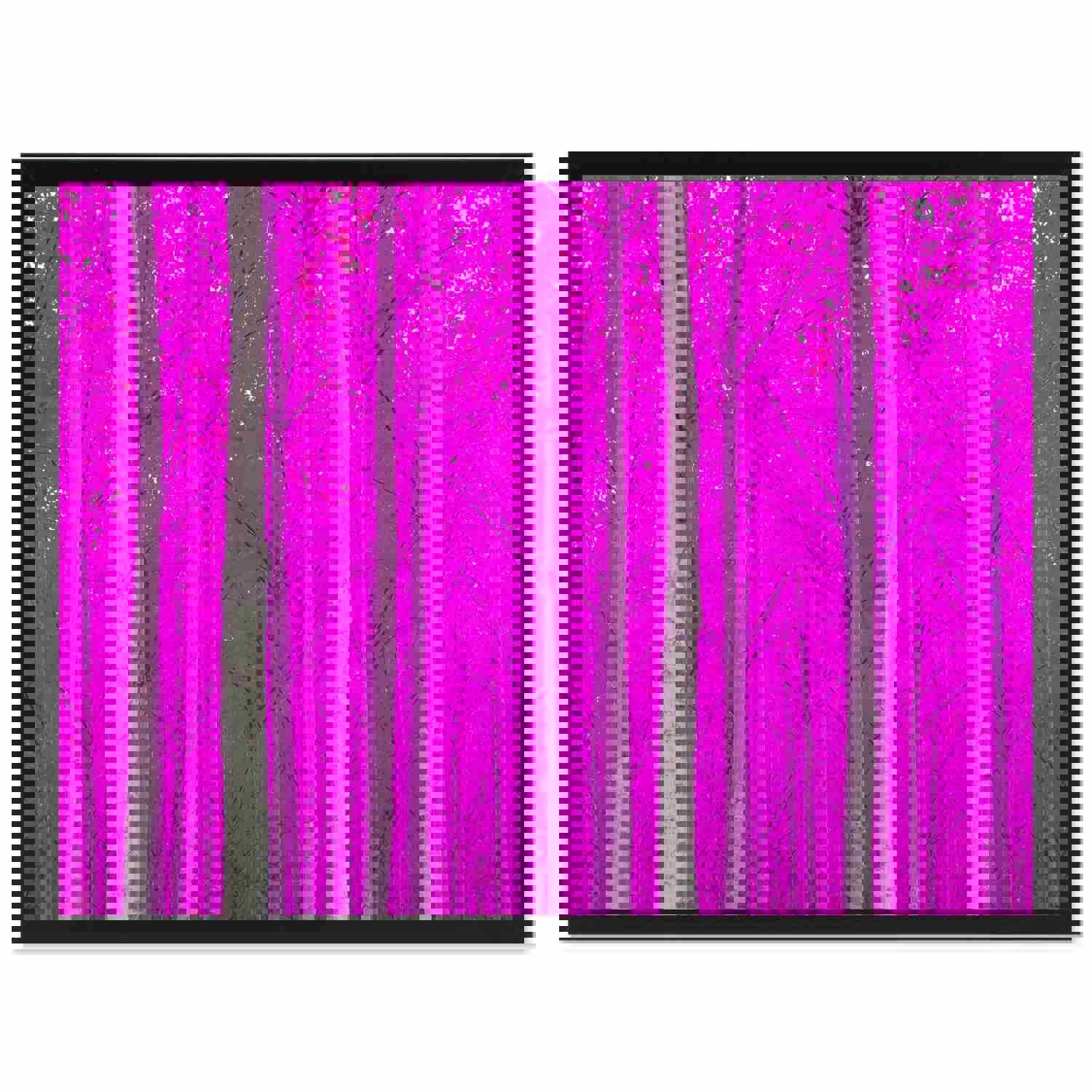 Autumn Tree Pink Landscape Photo Canvas Print for Home Décor Wall Art