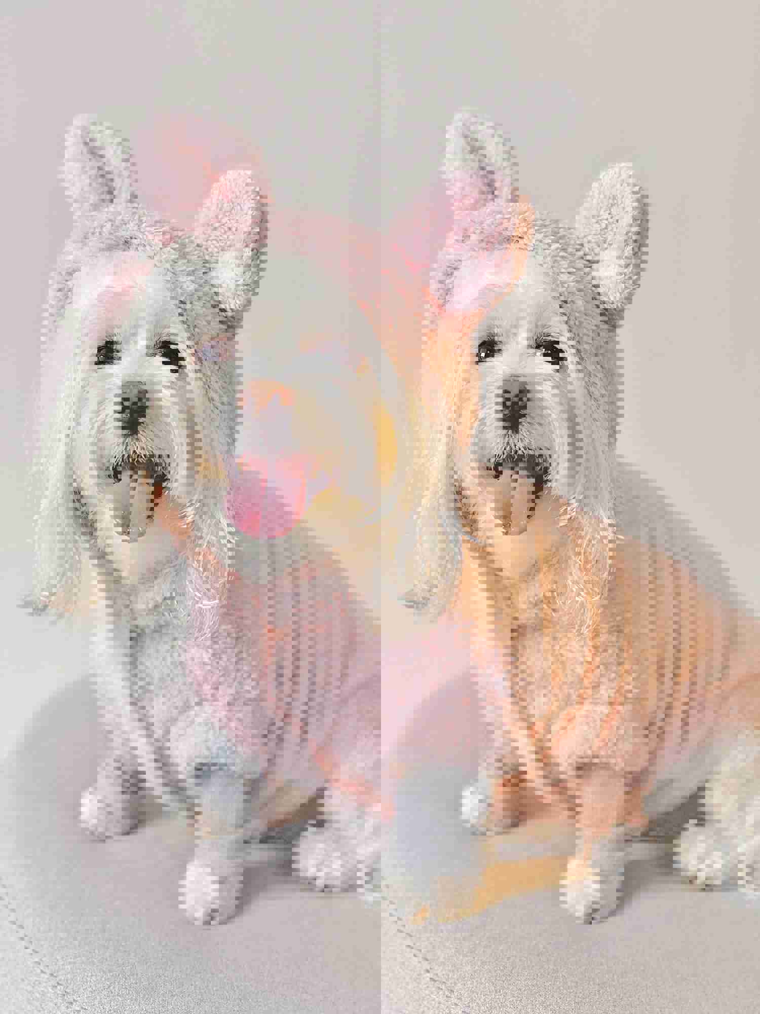 Warm Fleece Bear Hoodie (Pink)