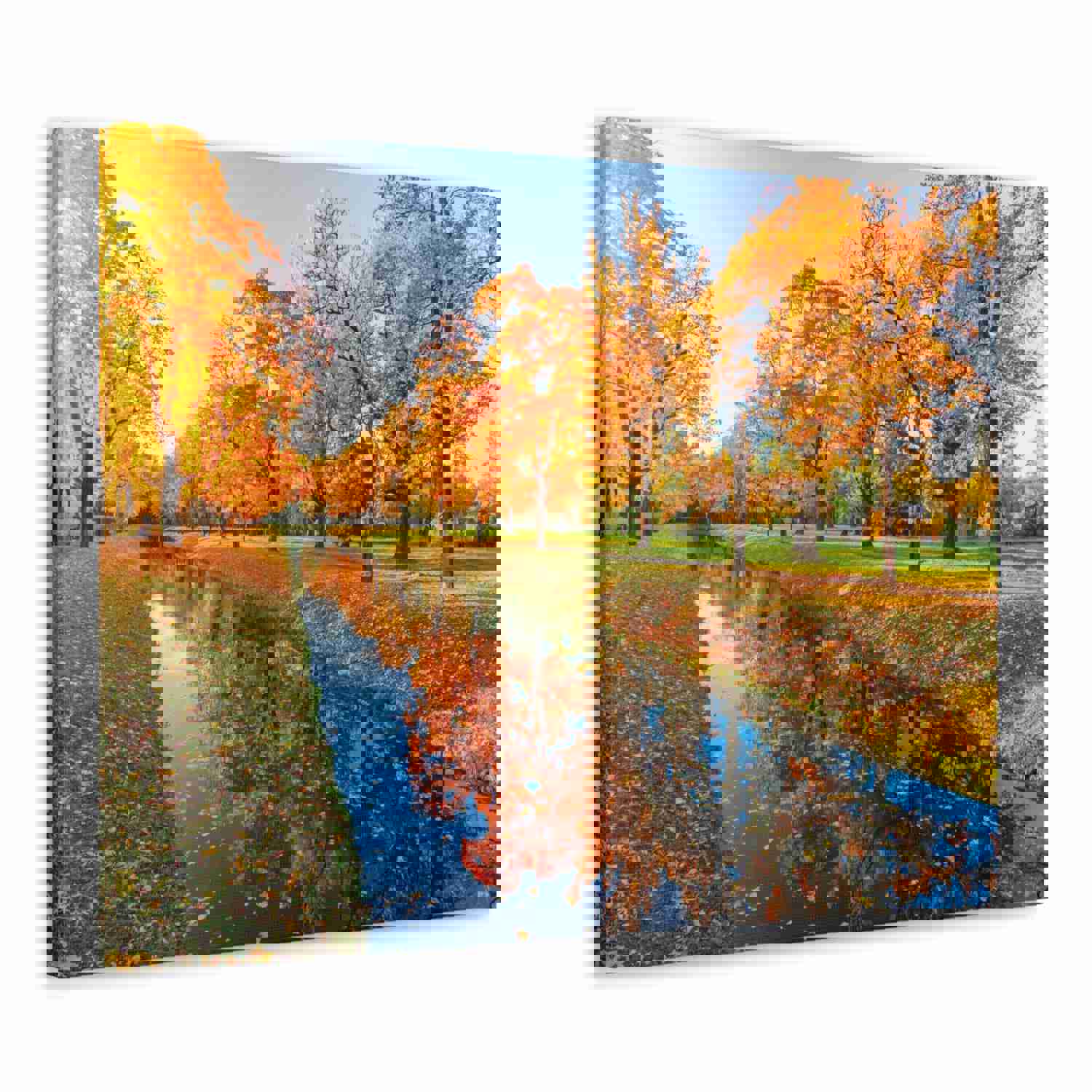 Obvodny Canal in Autumn Forest Floral Nature Photography Canvas Wall Art for Home Decor