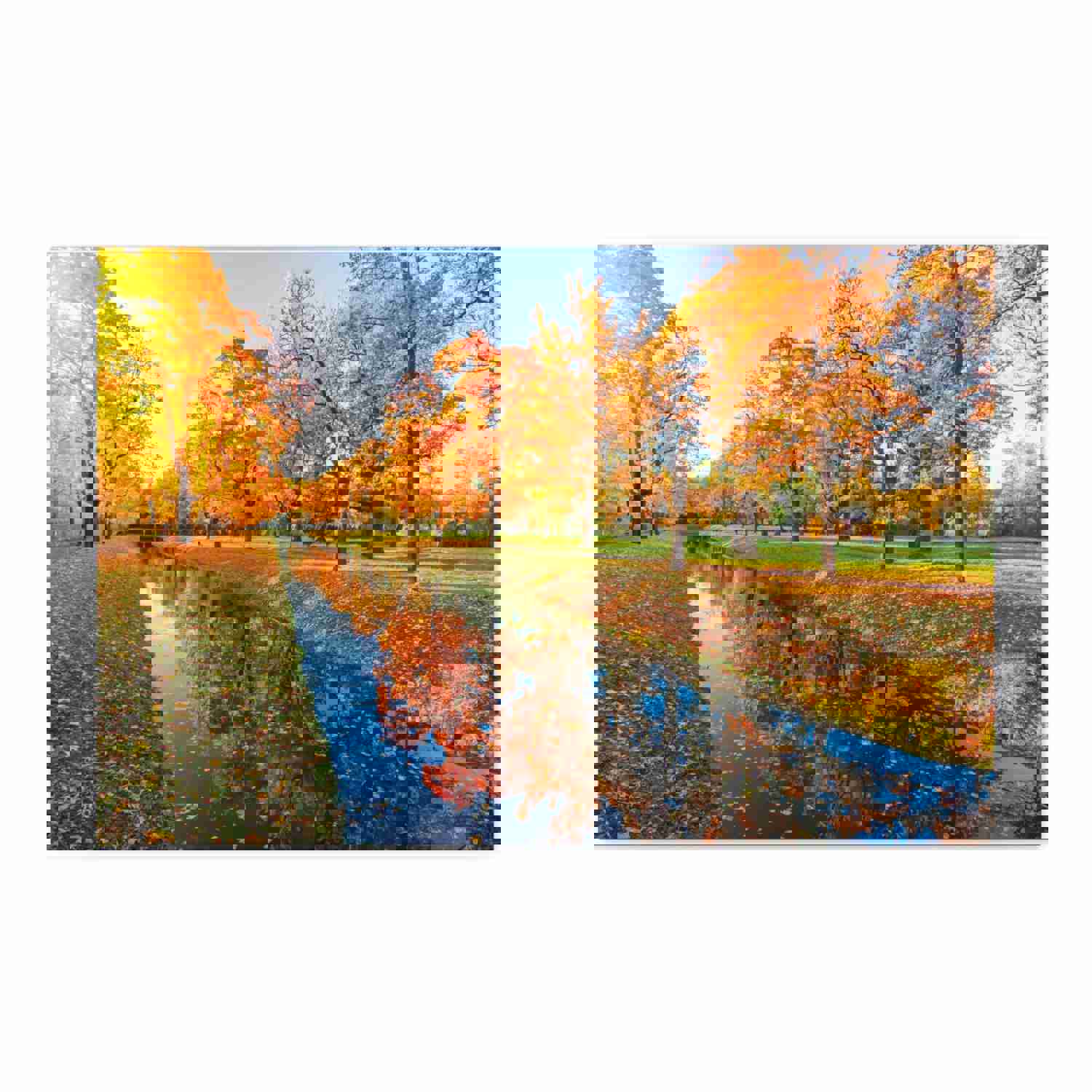 Obvodny Canal in Autumn Forest Floral Nature Photography Canvas Wall Art for Home Decor