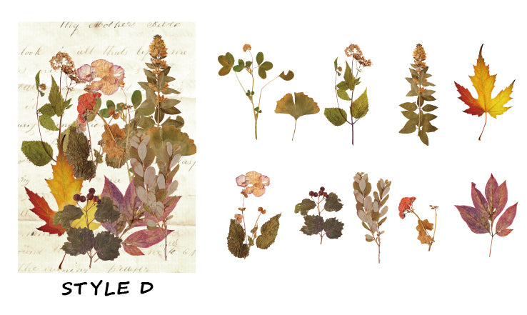 Dried Flowers Clear Stickers Pack