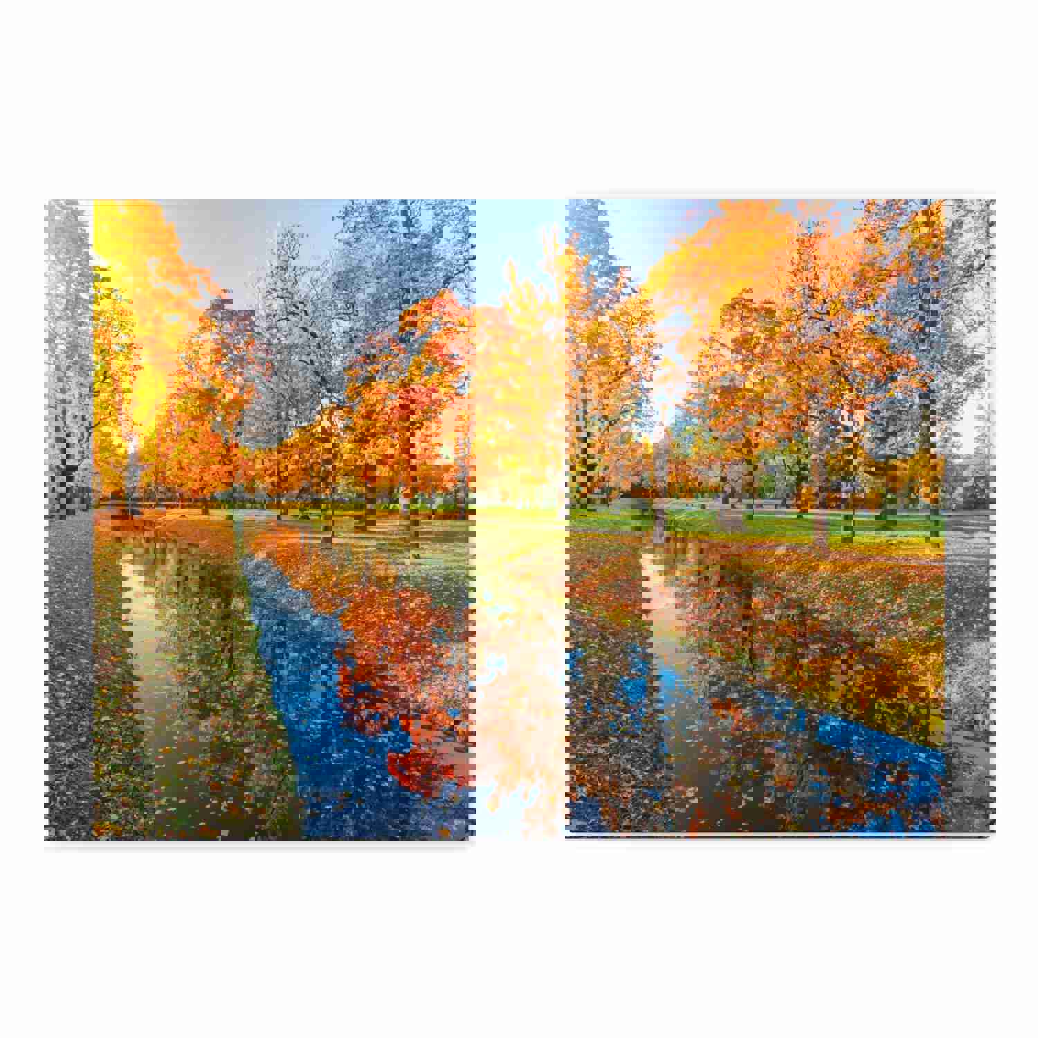 Obvodny Canal in Autumn Forest Floral Nature Photography Canvas Wall Art for Home Decor