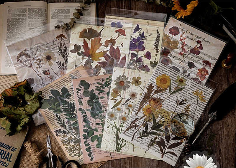 Dried Flowers Clear Stickers Pack