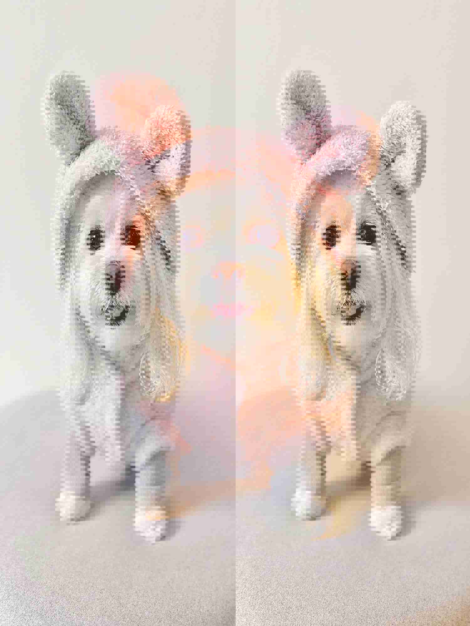 Warm Fleece Bear Hoodie (Pink)