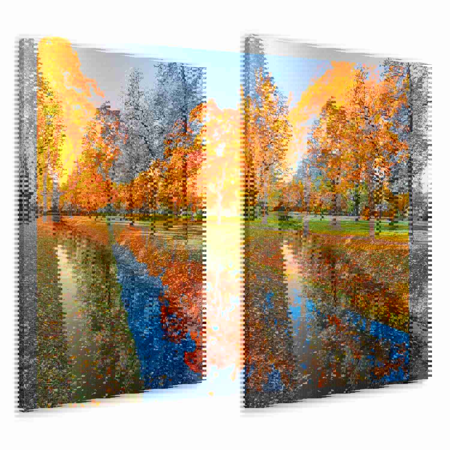 Obvodny Canal in Autumn Forest Floral Nature Photography Canvas Wall Art for Home Decor