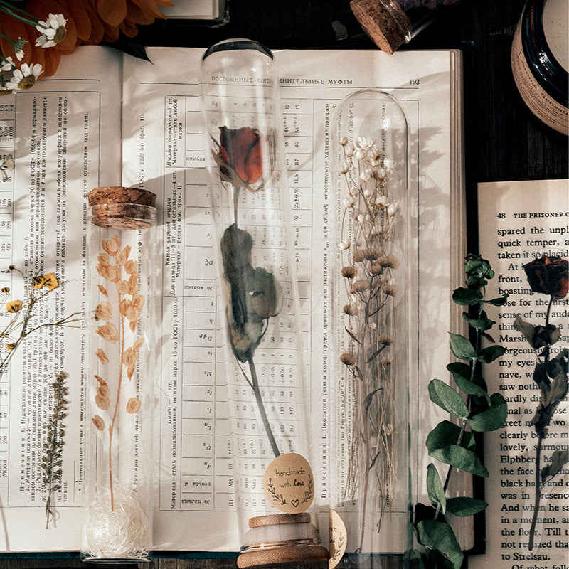 Dried Flowers Clear Stickers Pack