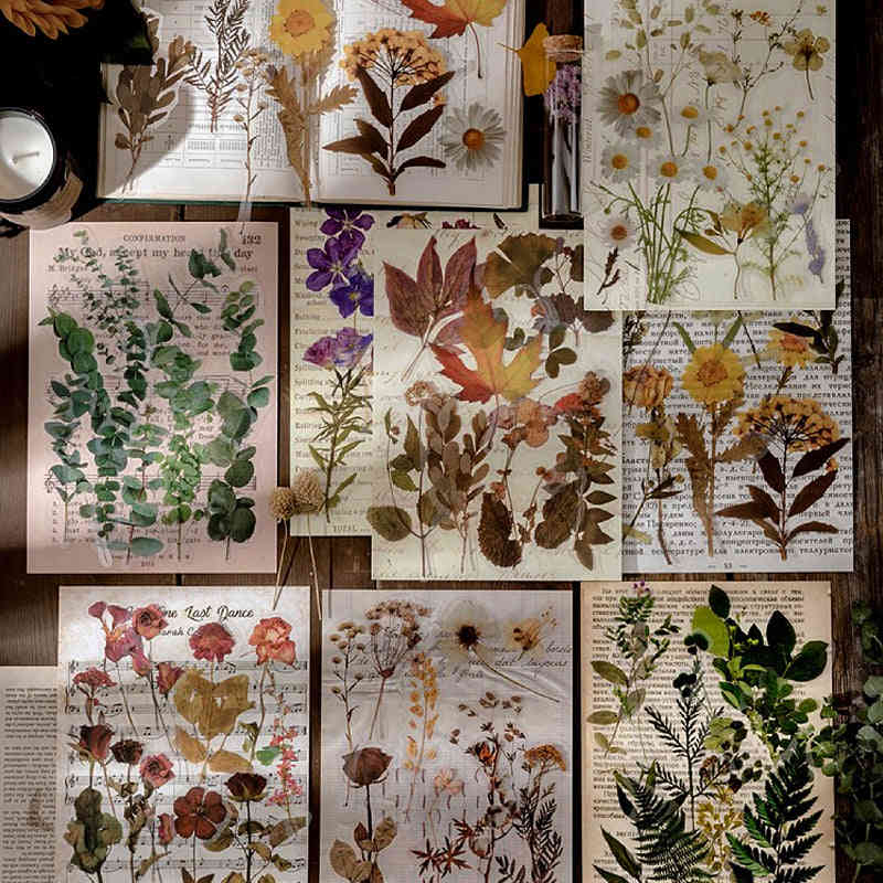 Dried Flowers Clear Stickers Pack