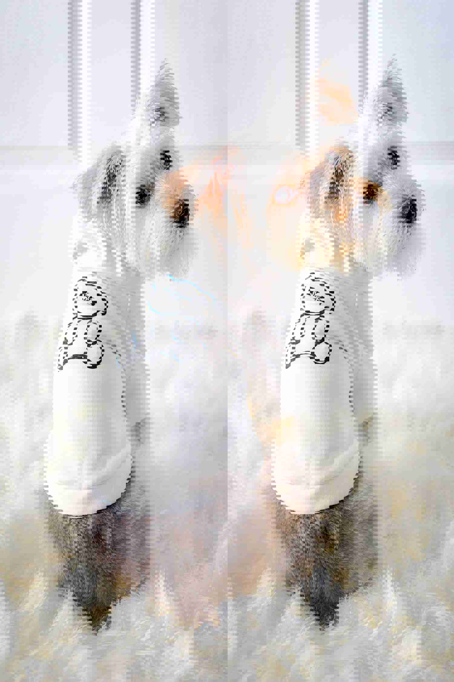 Nice Bear Hoodie - Soft Cotton Pullover for Spring, Autumn, and Winter
