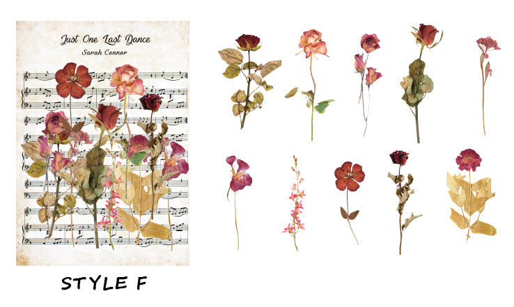Dried Flowers Clear Stickers Pack
