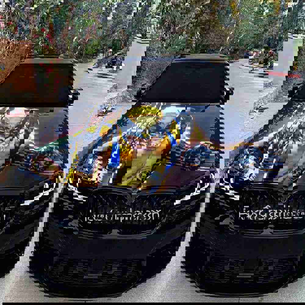 Wolverine Itasha Car Vinyl Hood Wrap Decal Sticker