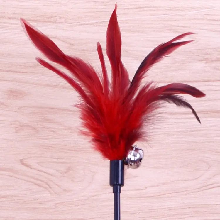 Wholesale Bell Feather Cat Stick Toy for Pets