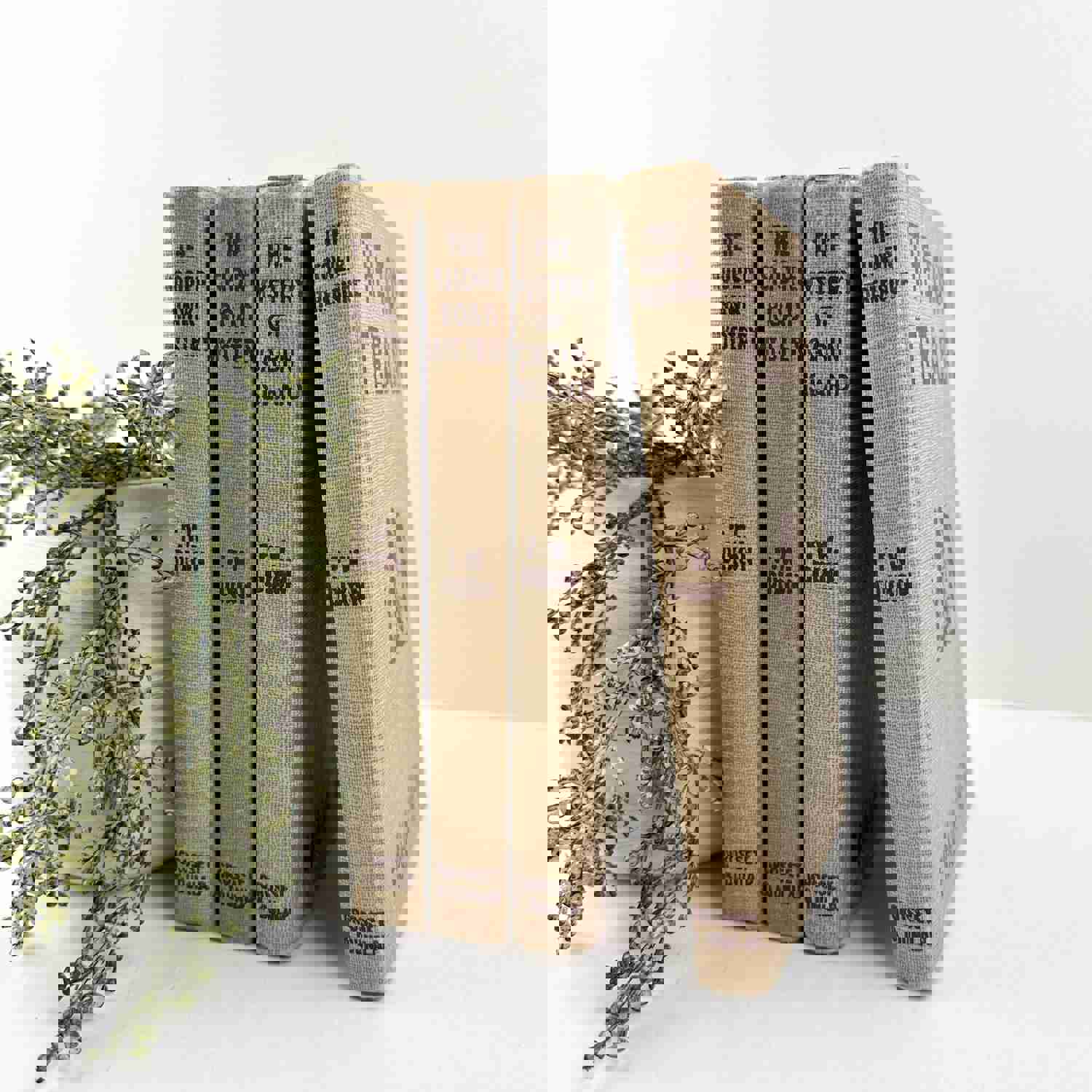 Brown Vintage Books for Home Decor