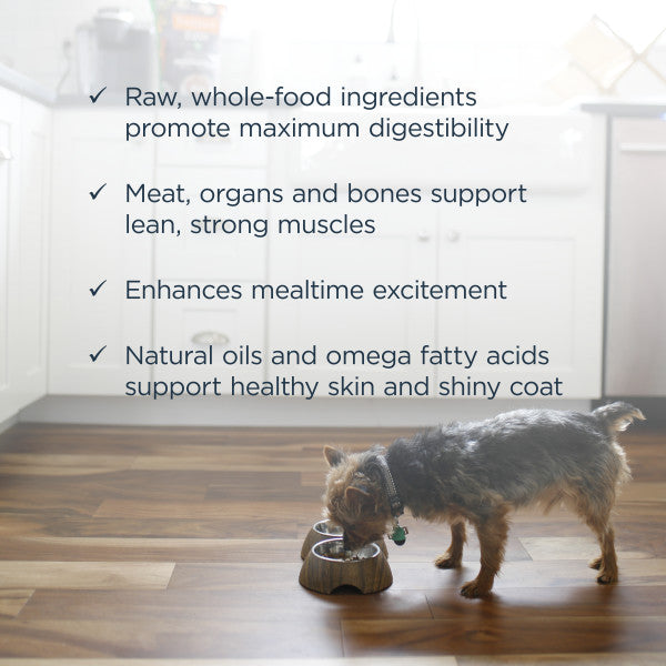 Instinct Raw Frozen Beef Bites Dog Food - High Protein, Grain-Free