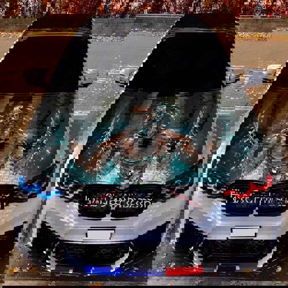 Wolverine Itasha Car Vinyl Hood Wrap Decal Sticker