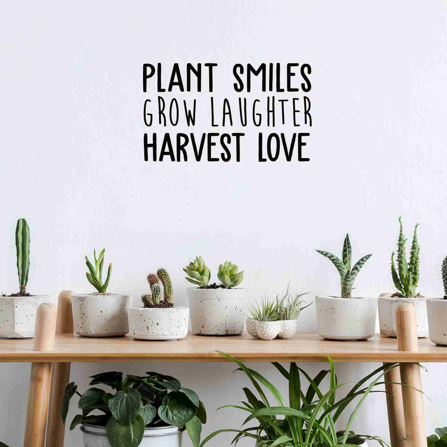 Vinyl Wall Art Decal - Plant Smiles Grow Laughter Harvest Love - Trendy Inspirational Nature Quote Sticker