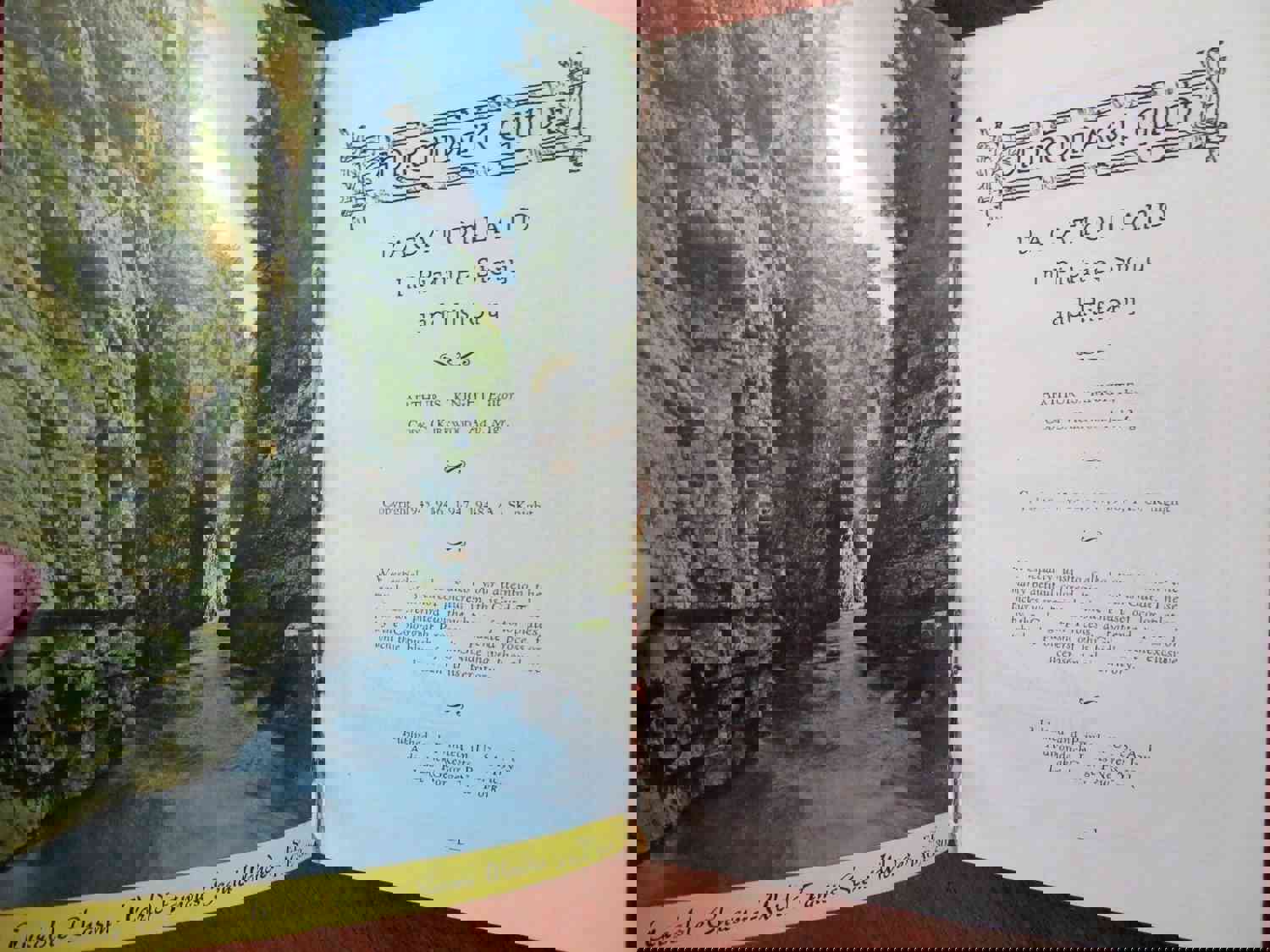 Adirondack Guide New York 1948 Illustrated Travel Guide Local History Book