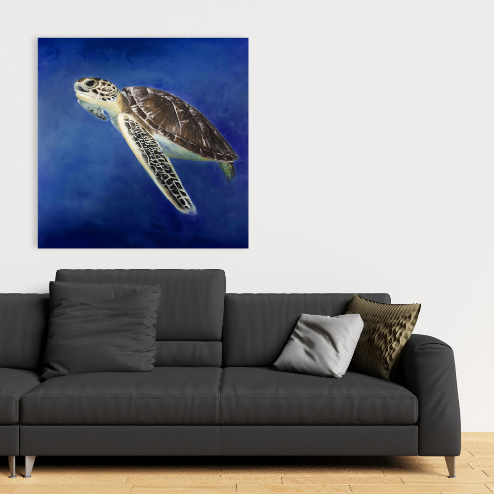 Beautiful Sea Turtle Fine Art Gallery Wrapped Canvas 36x36